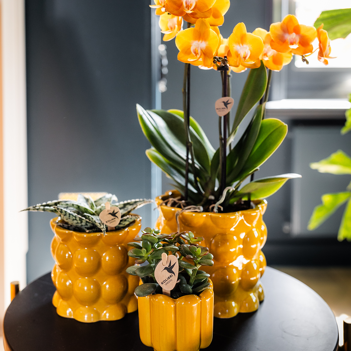 Hummingbird Home | Retro Shine decorative pot - Yellow - Ø9cm