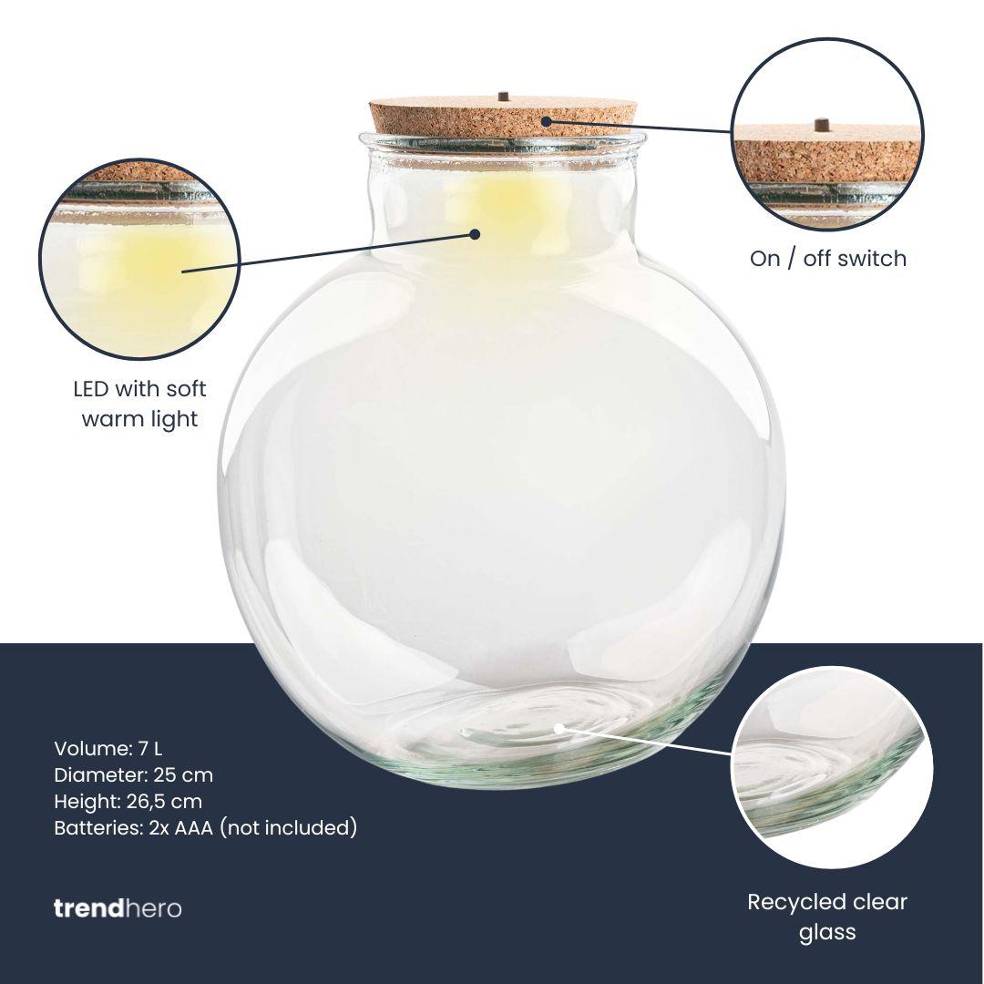 Terrarium fles met verlichting