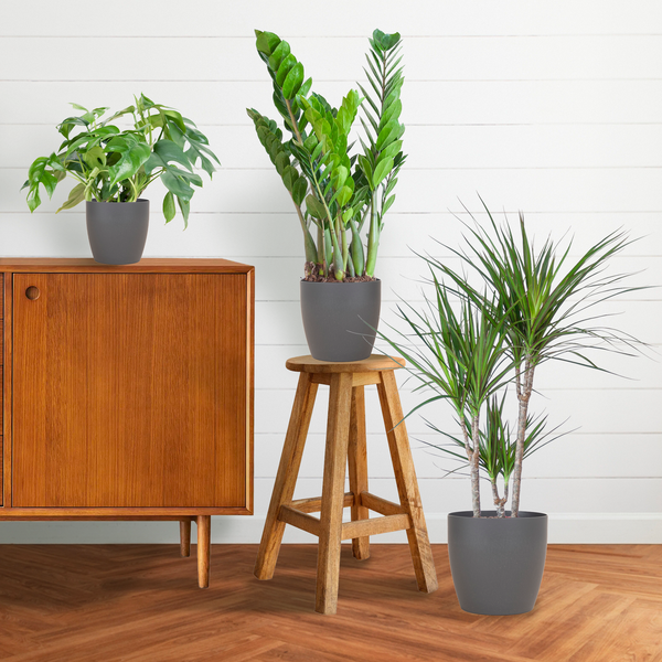 Shadow Plant Box - medium - with vibers pot grey