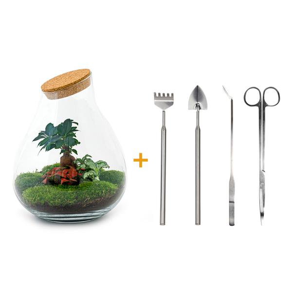 Terrario fai da te - Bonsai Drop XL -↕ 37 cm - Rastrello + Pala + Pinzetta + Forbici