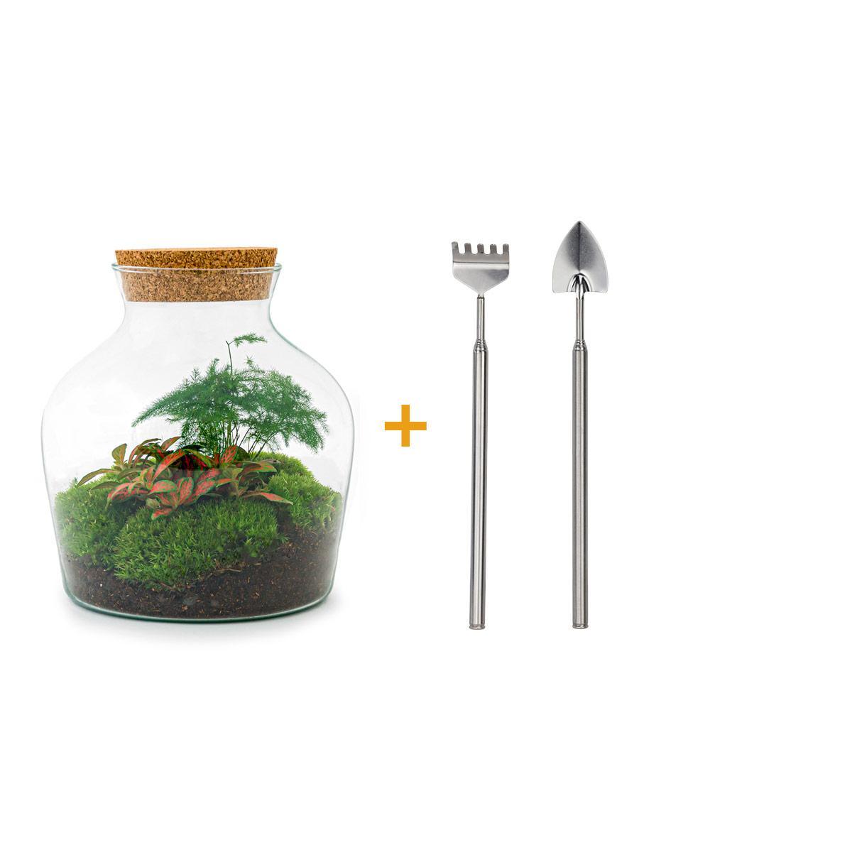 DIY terrarium - Little Joe - ↕ 21.5 cm - Rake + Shovel