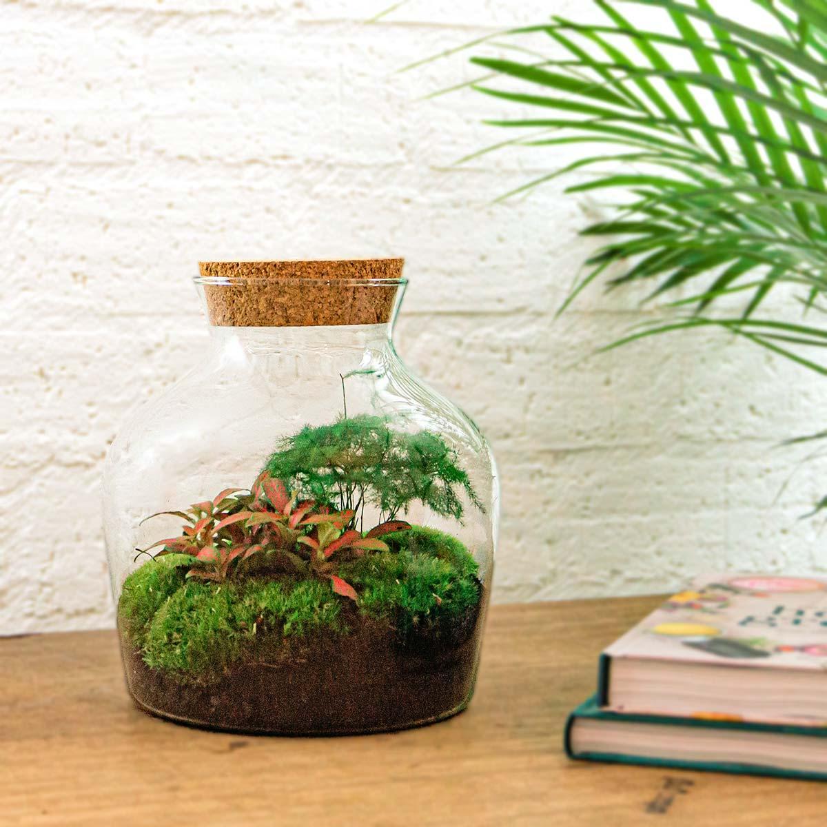 DIY terrarium - Little Joe - ↕ 21.5 cm - Rake + Shovel