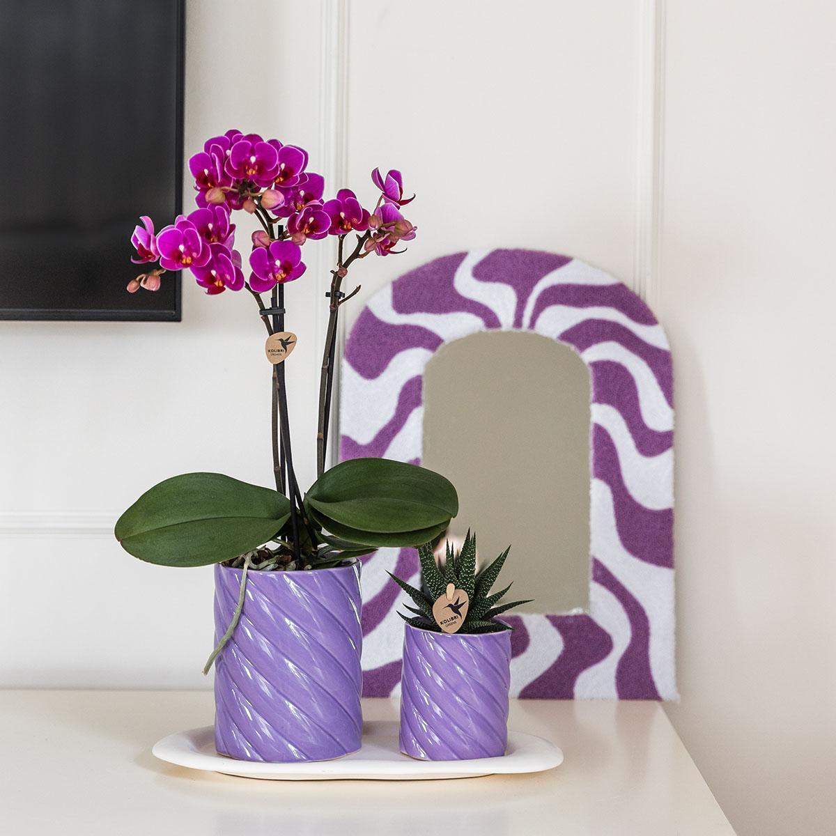 Kolibri Orchids | Gift set Optimism small lila | Groene plant met oranje Phalaenopsis orchidee in Candy sierpotten op wit organisch dienblad