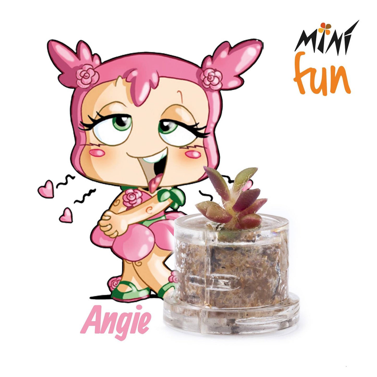 Minì Box Fun Angie - Mini pianta per i romantici e i sensibili