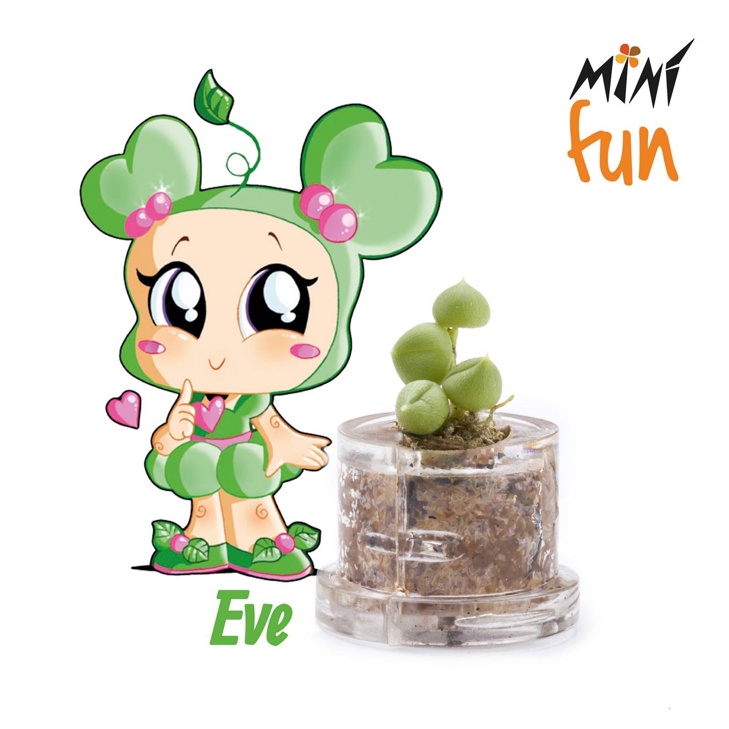 Minì Box Fun Eve - Mini pianta per i teneri e i delicati