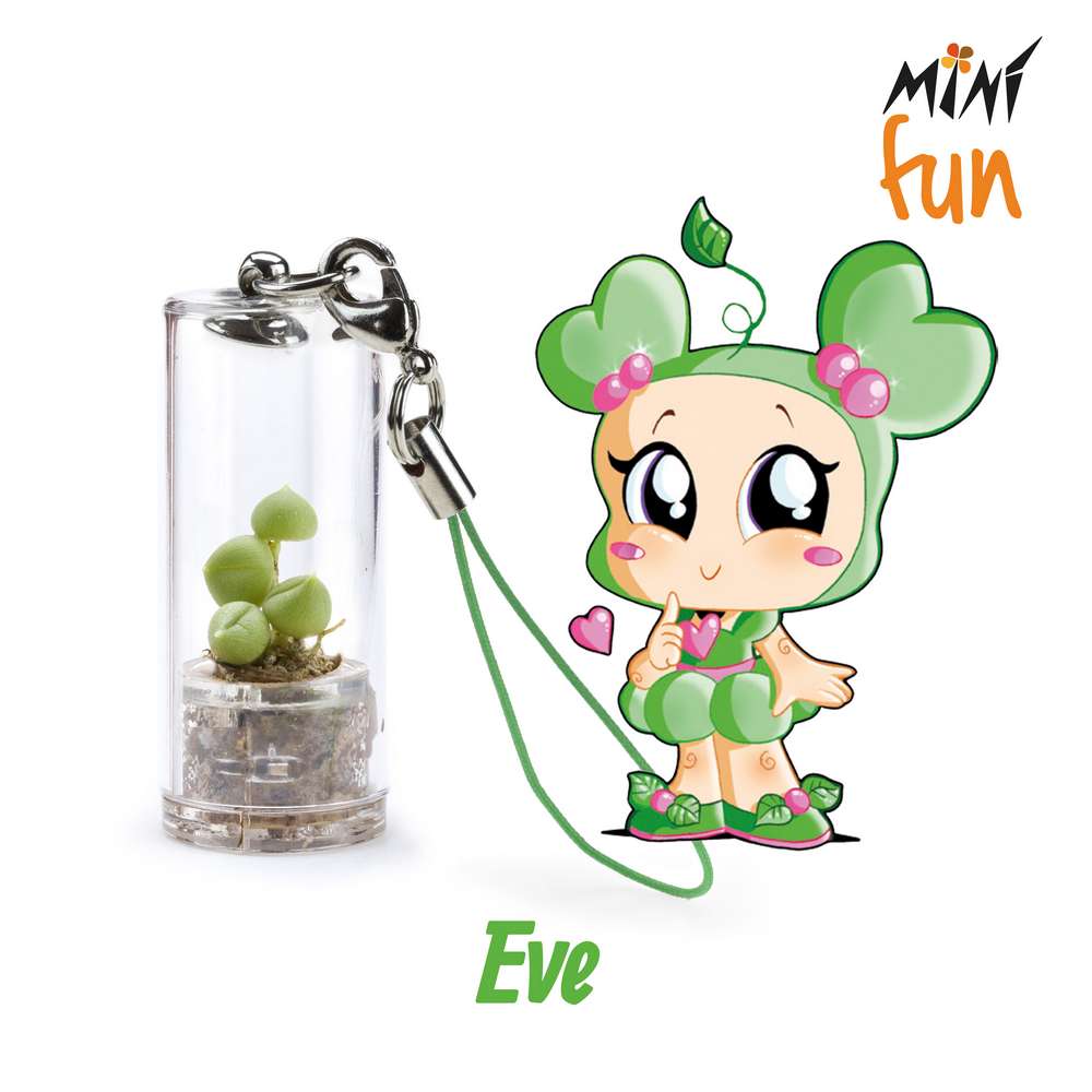 Minì Fun Eve - Mini pianta per i teneri e i delicati