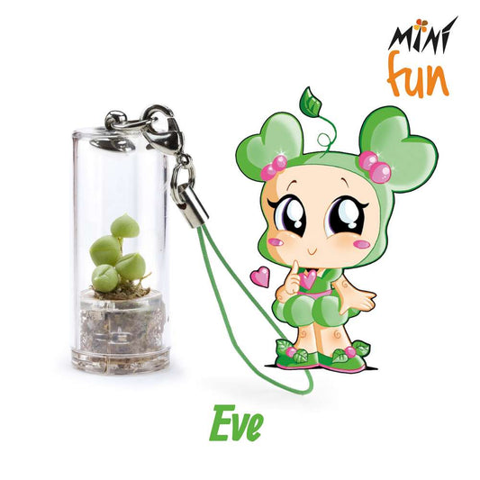 Minì Fun Eve - Mini pianta per i teneri ei delicateti