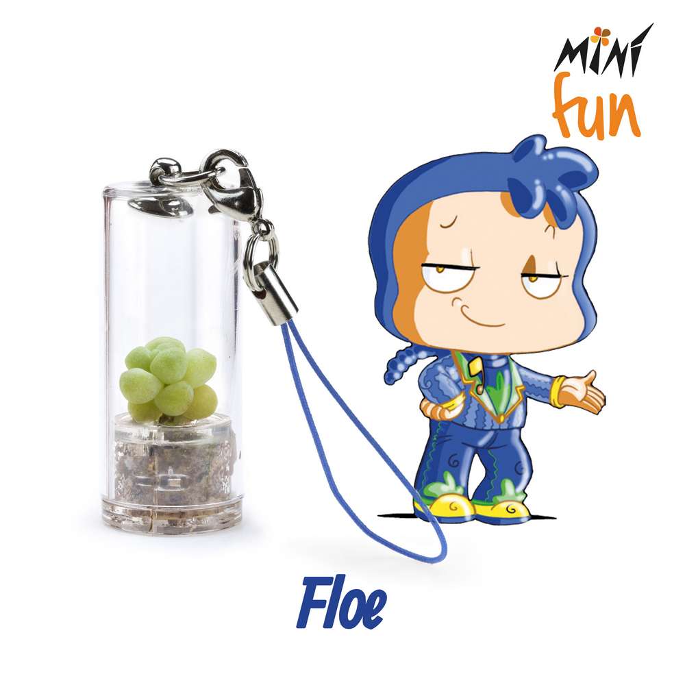 Minì Fun Floe - Mini pianta per i raffinati e gli eleganti