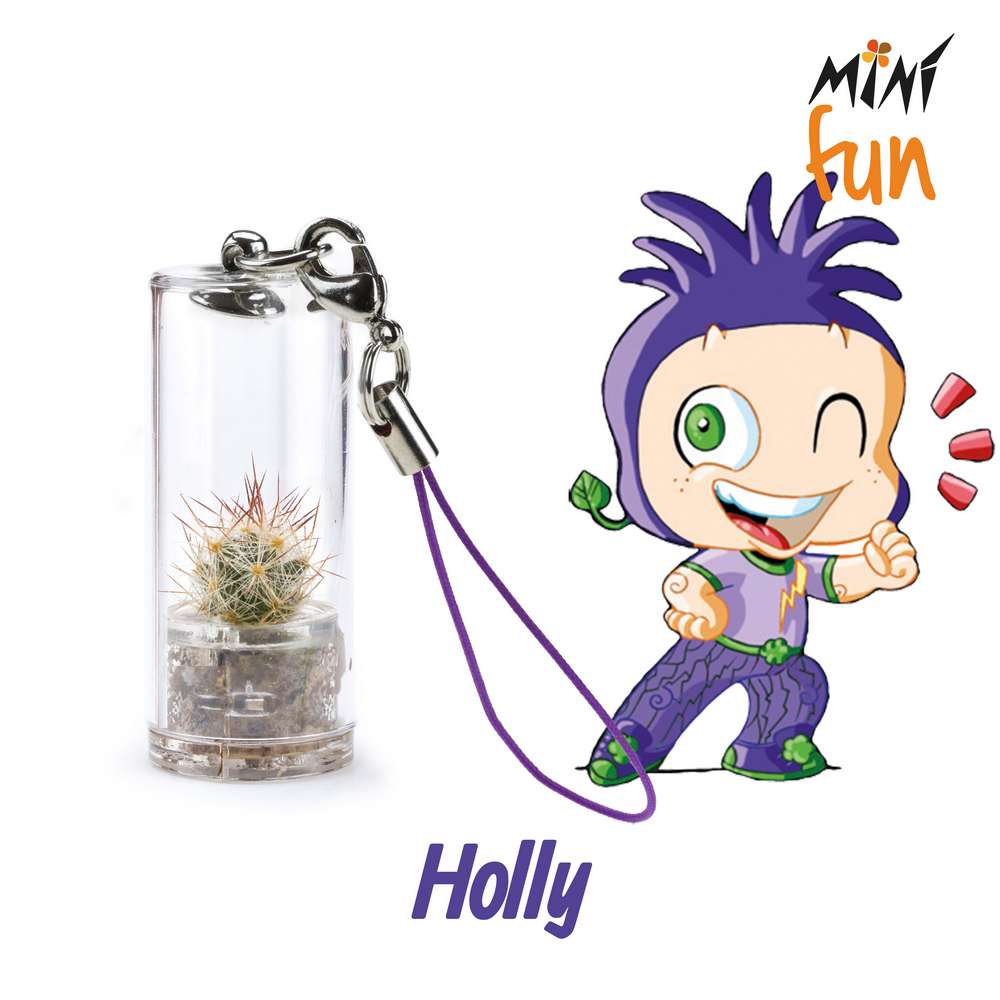 Minì Fun holly - Mini pianta per gli audaci e gli ambiziosi