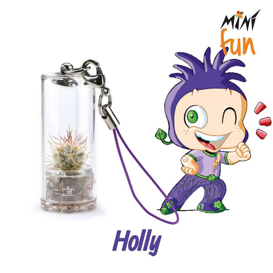 Minì Fun holly - Mini pianta per gli audaci e gli ambiziosi