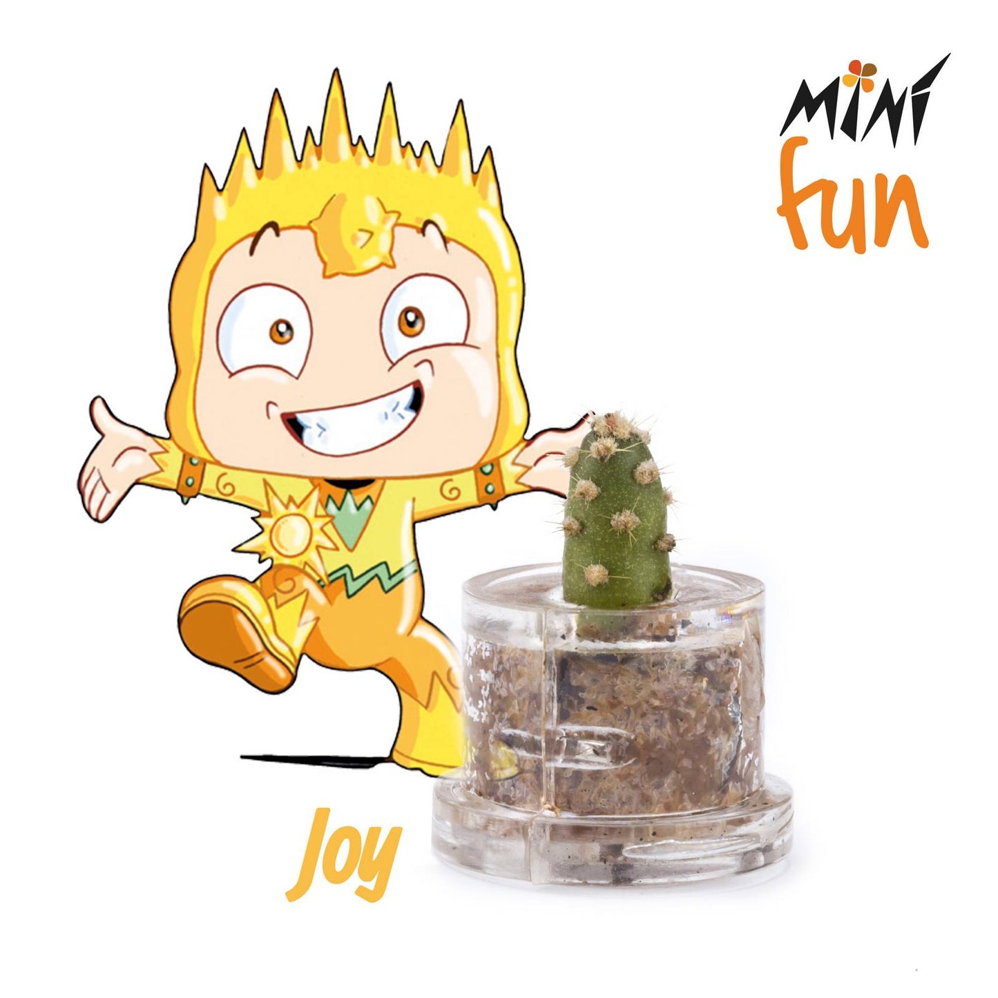 Min Box Fun Joy - Mini pianta per gli allegri e i vivaci