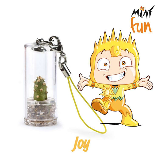 Minì Fun Joy - Mini pianta per gli allegri ei vivaci