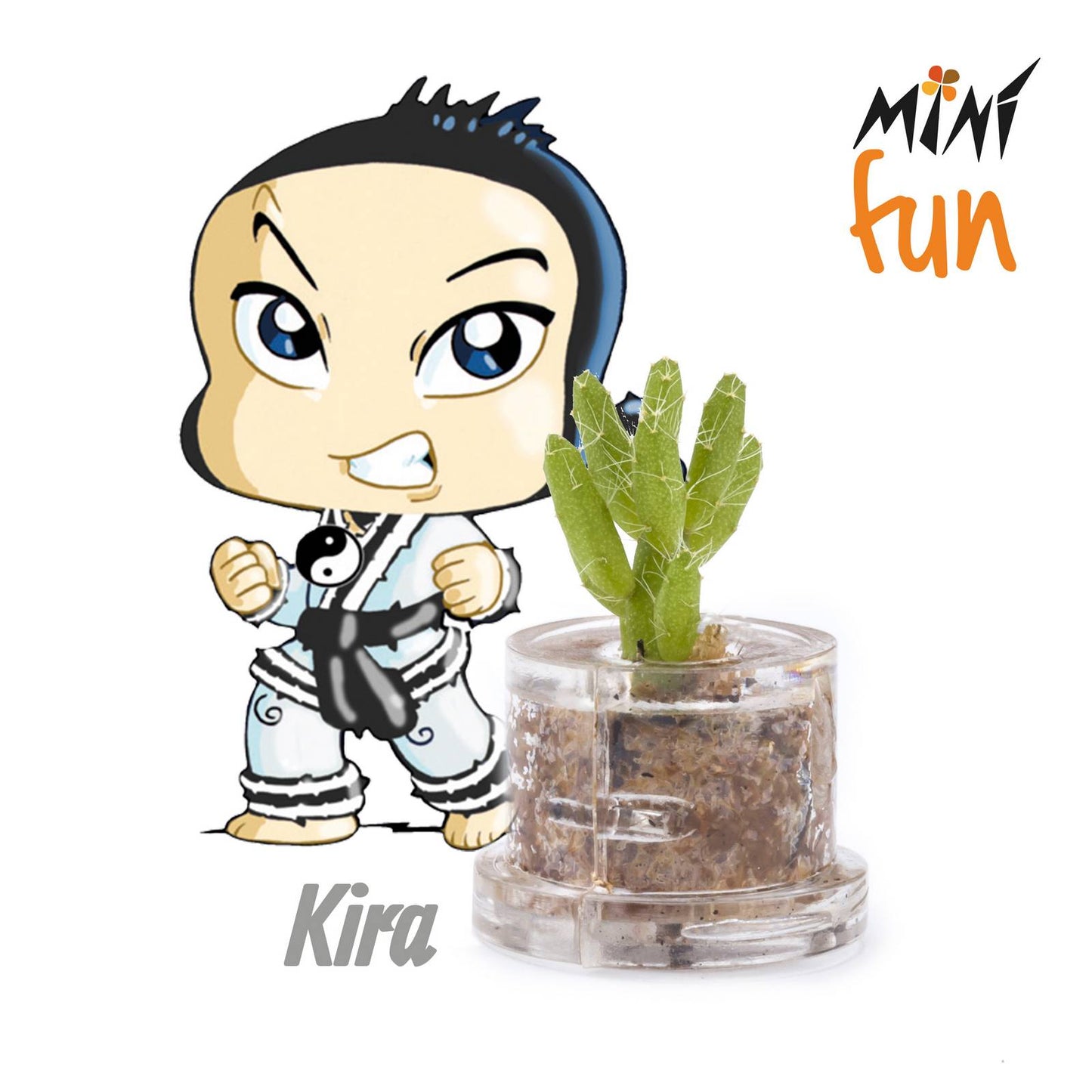 Minì Box Fun Kira - Mini pianta per i coraggiosi e i tenaci