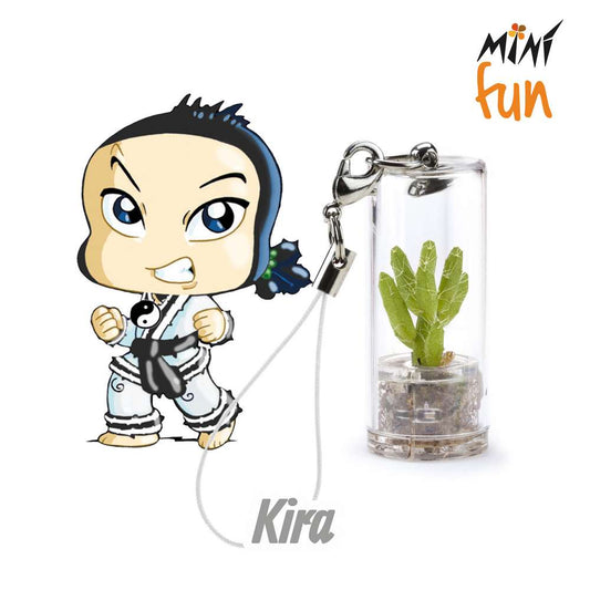 Minì Fun Kira - Mini pianta per i coraggiosi ei tenaci
