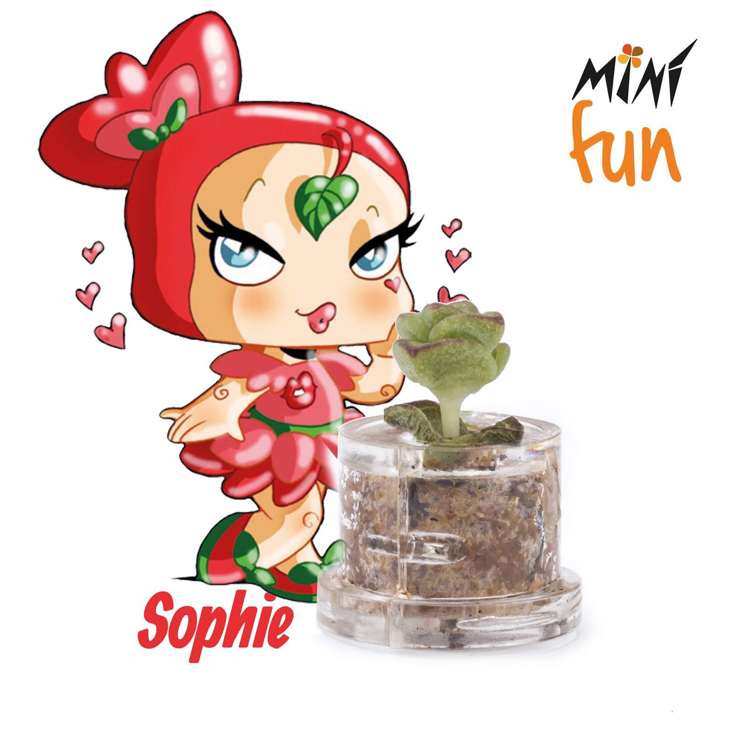 Minì Fun Sophie - Mini pianta per i capricciosi e i sensuali