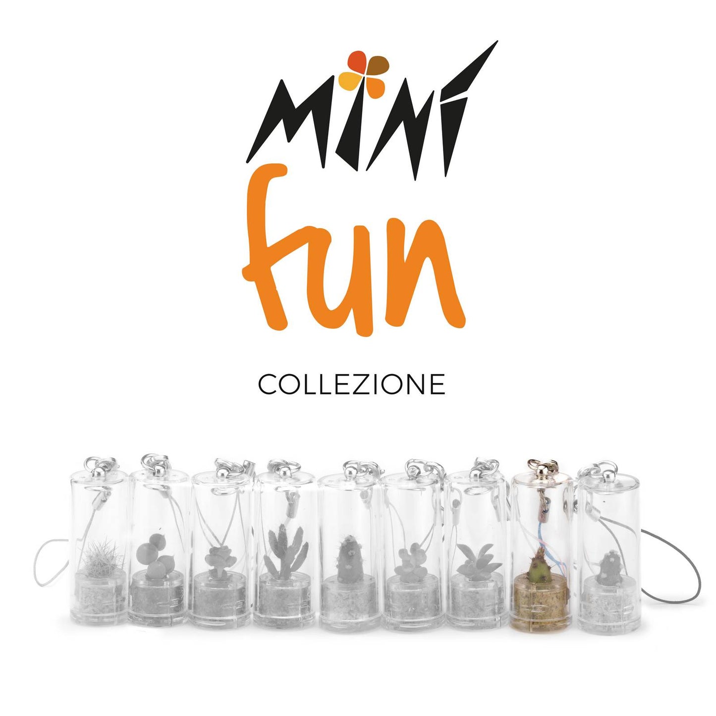 Minì Fun Sue - Mini pianta per i saggi