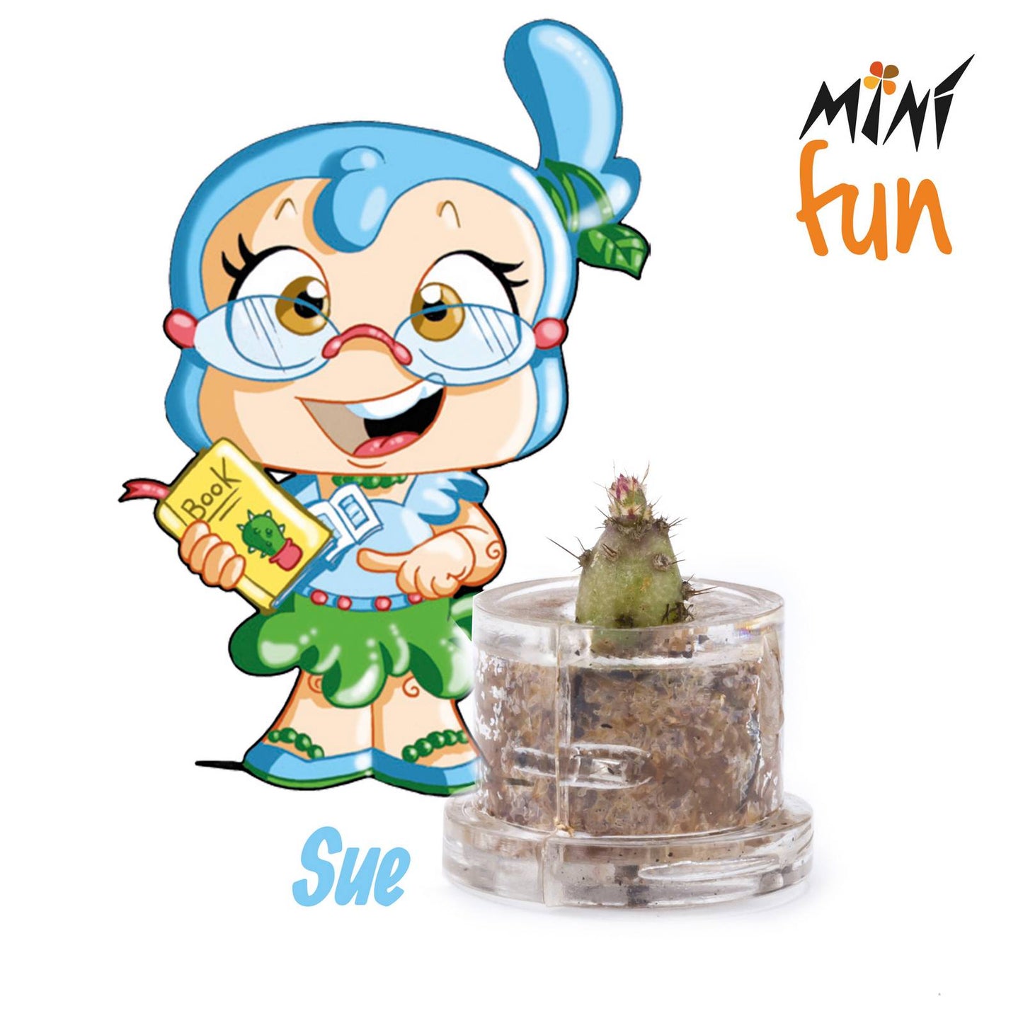 Minì Fun Sue - Mini pianta per i saggi