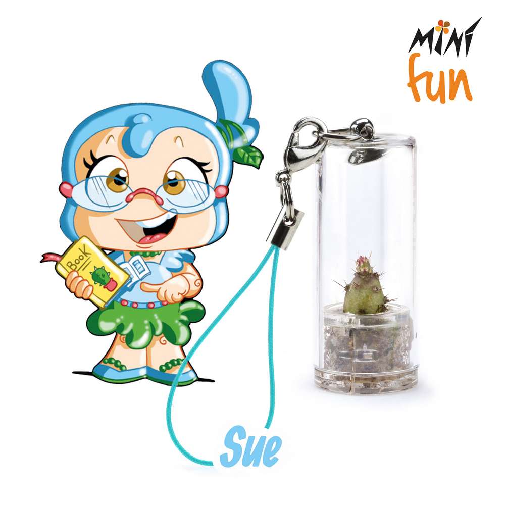 Minì Fun Sue - Mini pianta per i saggi