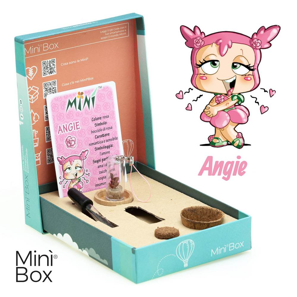 Minì Box Fun Angie - Mini pianta per i romantici e i sensibili