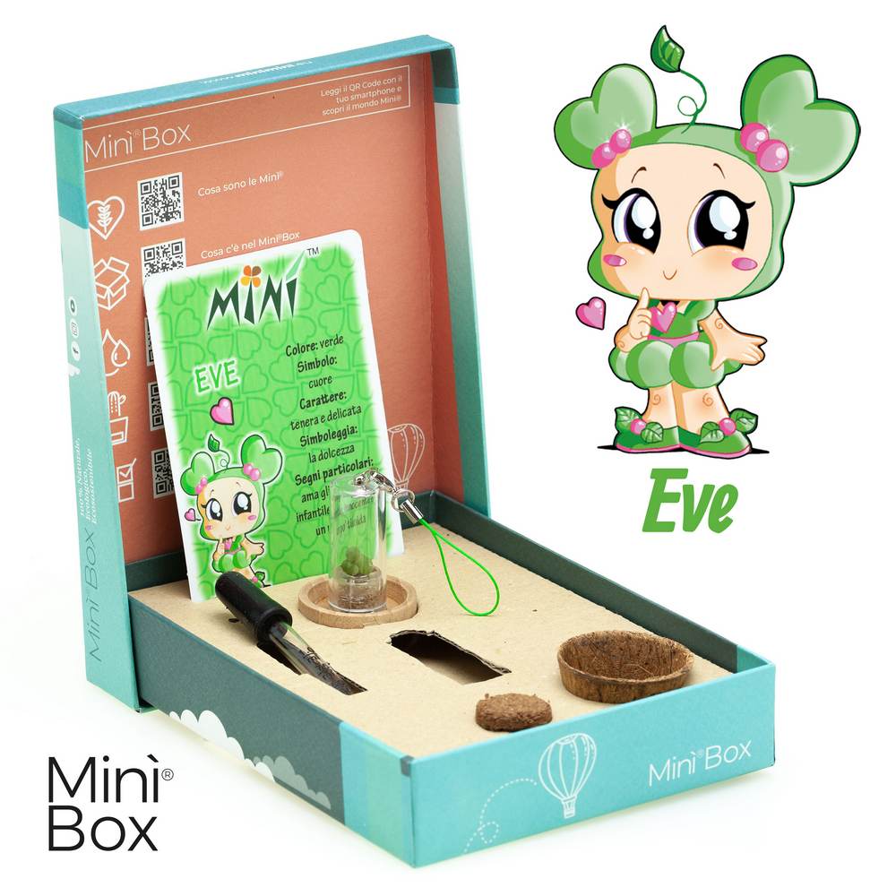 Minì Box Fun Eve - Mini pianta per i teneri ei delicateti