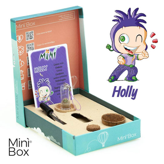 Minì Box Fun Holly - Mini pianta per gli audaci e gli ambiziosi