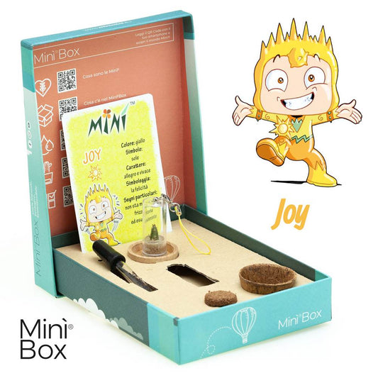 Min Box Fun Joy - Mini pianta per gli allegri ei vivaci