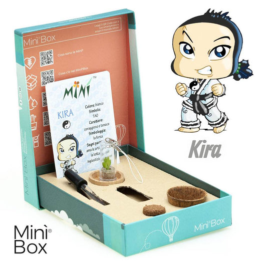 Minì Box Fun Kira - Mini pianta per i coraggiosi ei tenaci