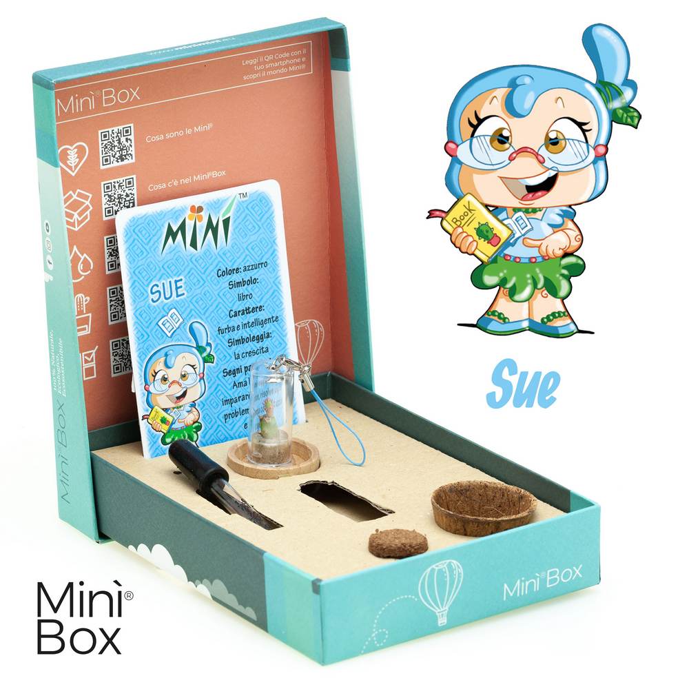 Minì Box Fun Sue - Mini pianta per i saggi