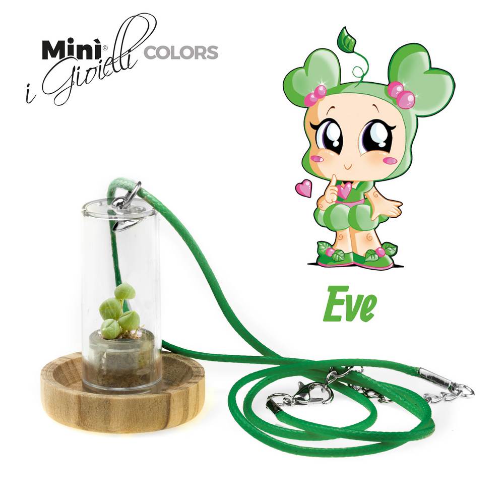 Minì Fun Gioielli Eve - Mini pianta per i teneri e i delicati