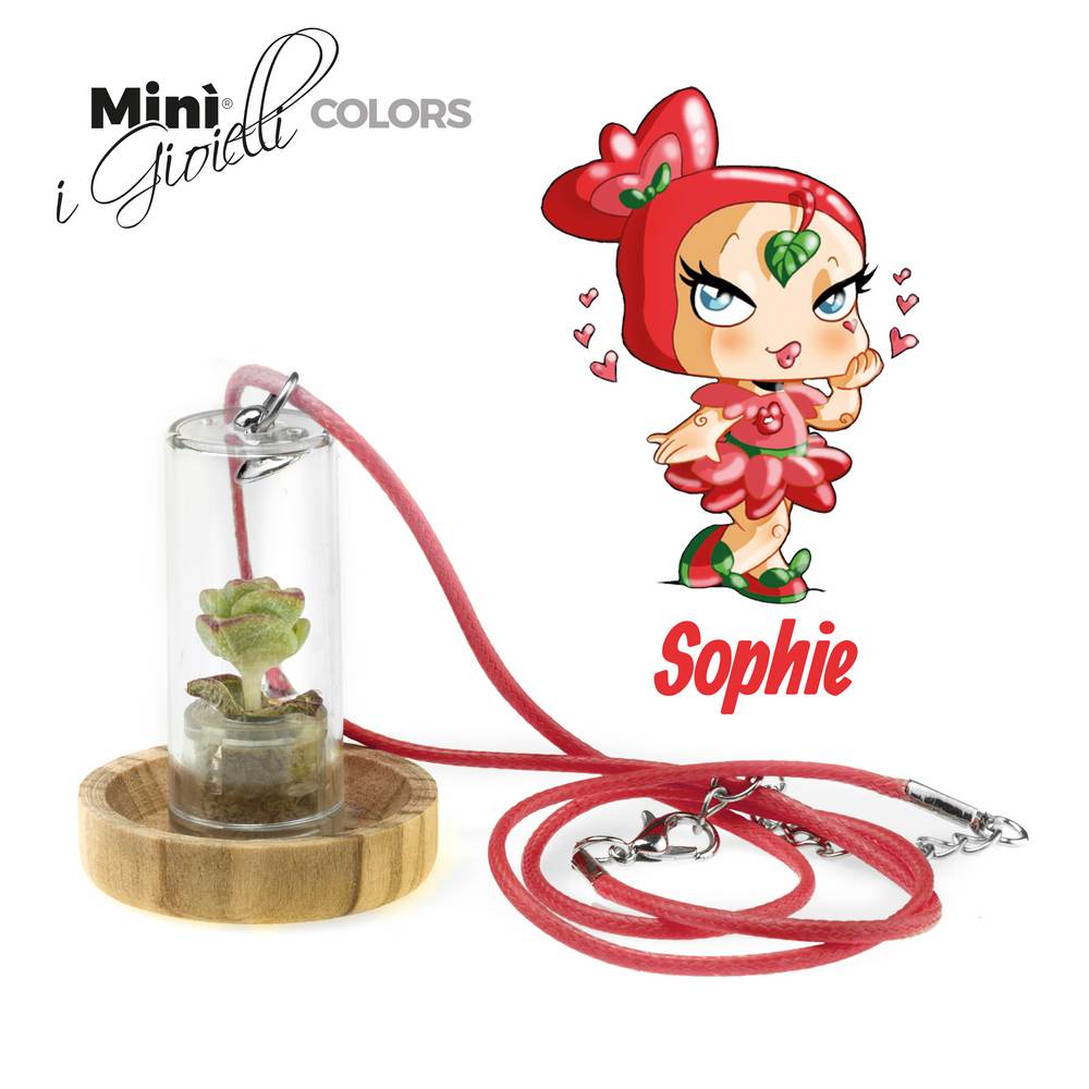 Minì Fun Gioielli Sophie - Mini pianta per i capricciosi e i sensuali