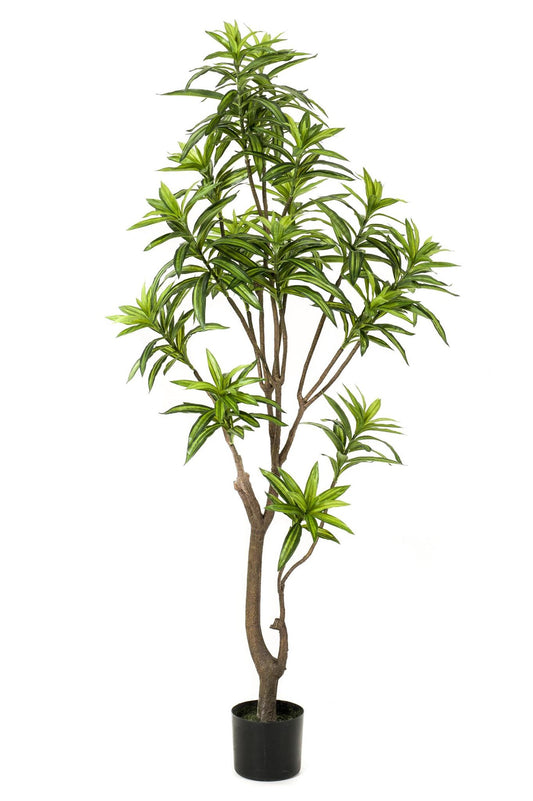 Kunstplant - Dracaena - Drakenboom Kunstplant - Dracaena - Drakenboom - 155 cm