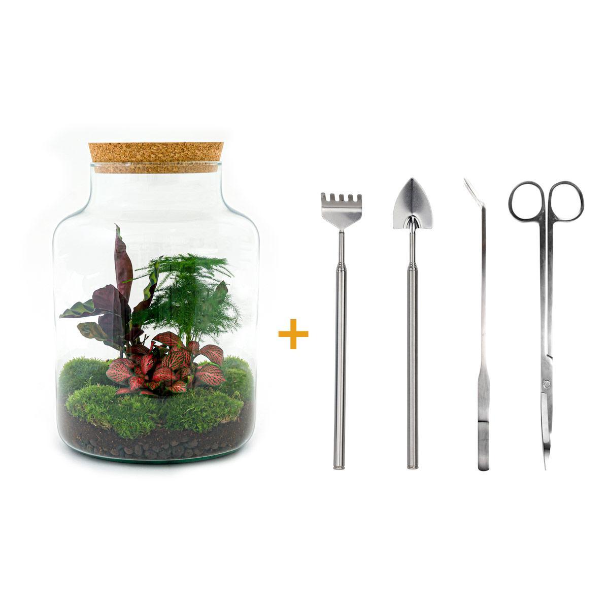 DIY terrarium - Milky - ↕ 30 cm DIY terrarium - Milky - ↕ 30 cm - Rake + Shovel + Tweezer + Scissors