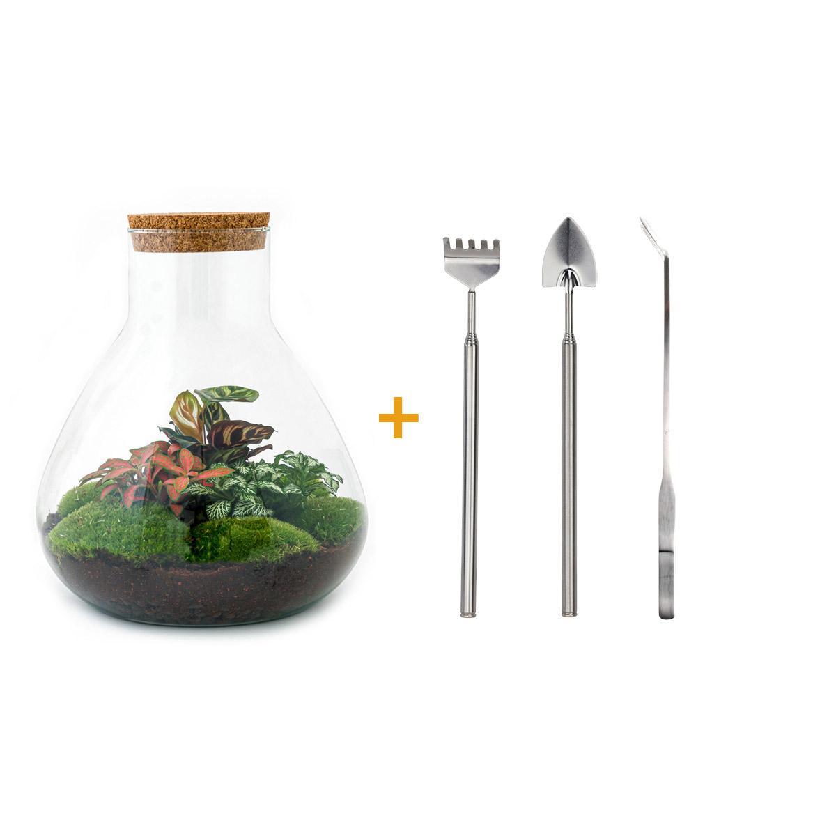 DIY terrarium - Sam XL Rood - ↕ 35 cm DIY terrarium - Sam XL Rood - ↕ 35 cm - Rake + Shovel + Tweezer