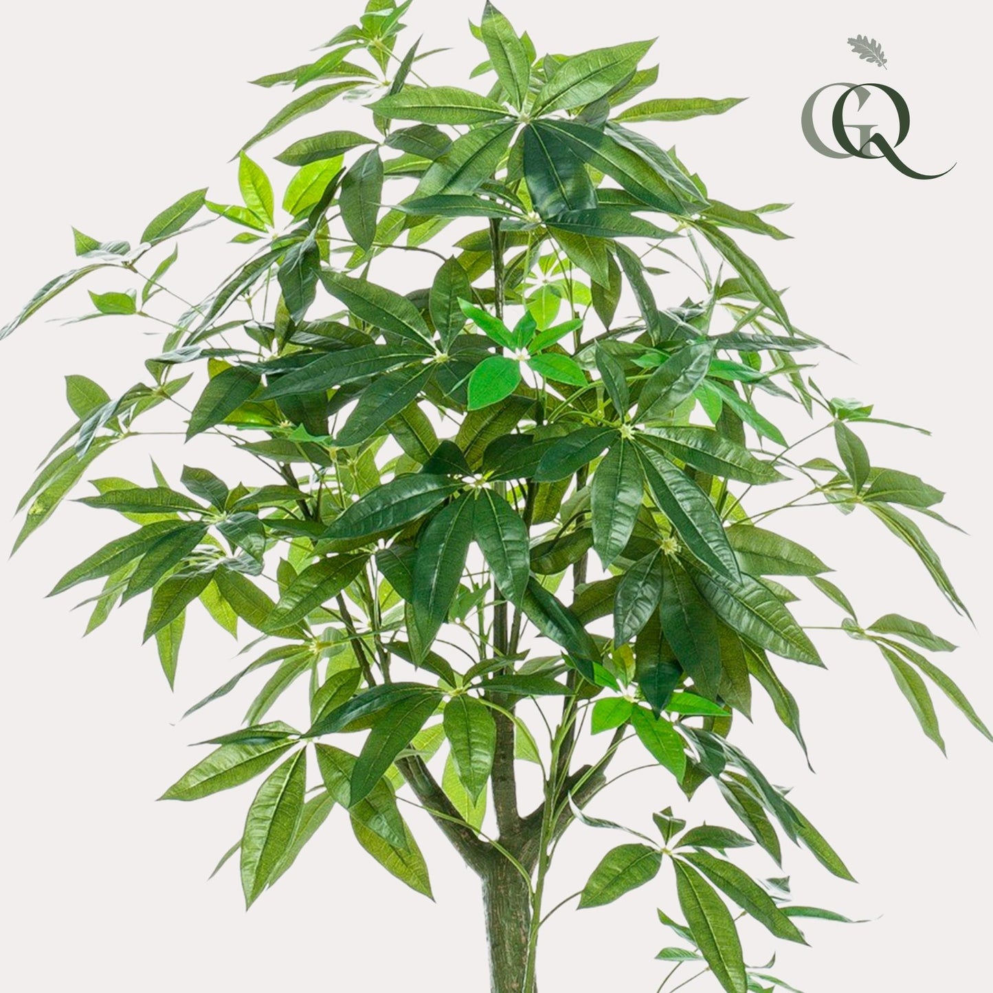 Kunstplant - Pachira Aquatica - Geldboom Kunstplant - Pachira Aquatica - Geldboom - 150 cm