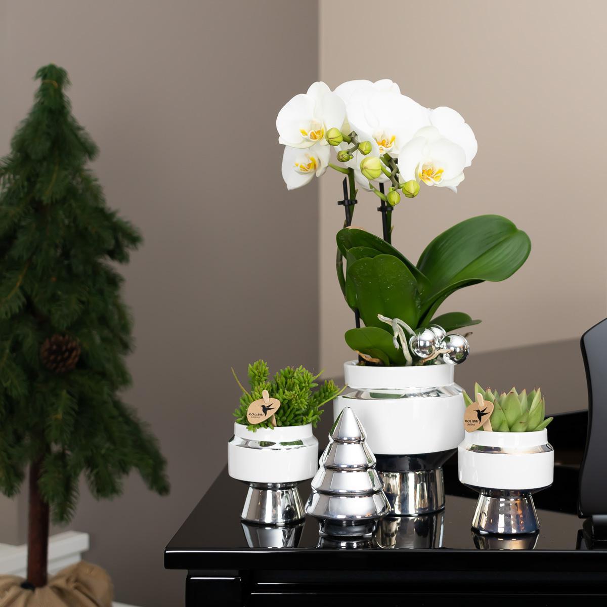 Hummingbird Home | Le Chic flowerpot - White ceramic decorative pot with silver details - pot size Ø6cm