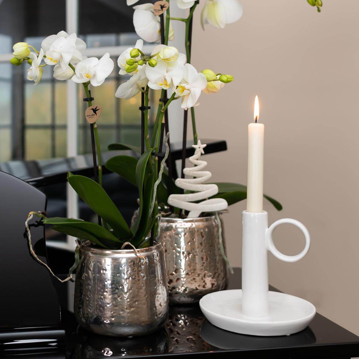 Kolibri Home | Luxury bloempot - Zilveren keramieken sierpot - potmaat Ø6cm