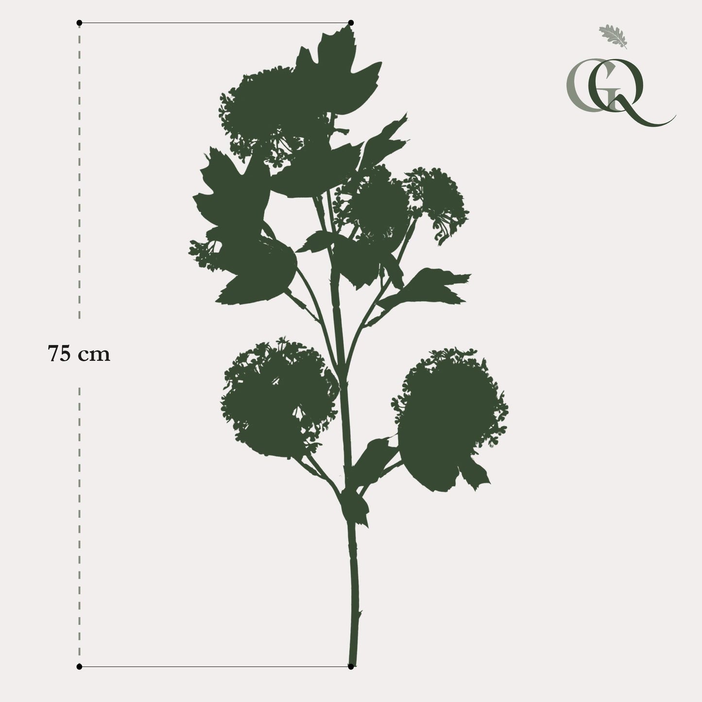 Kunstbloemen Solo Kunstbloemen Solo - x 4 - 75cm - Viburnum Opulus Branches - Crème
