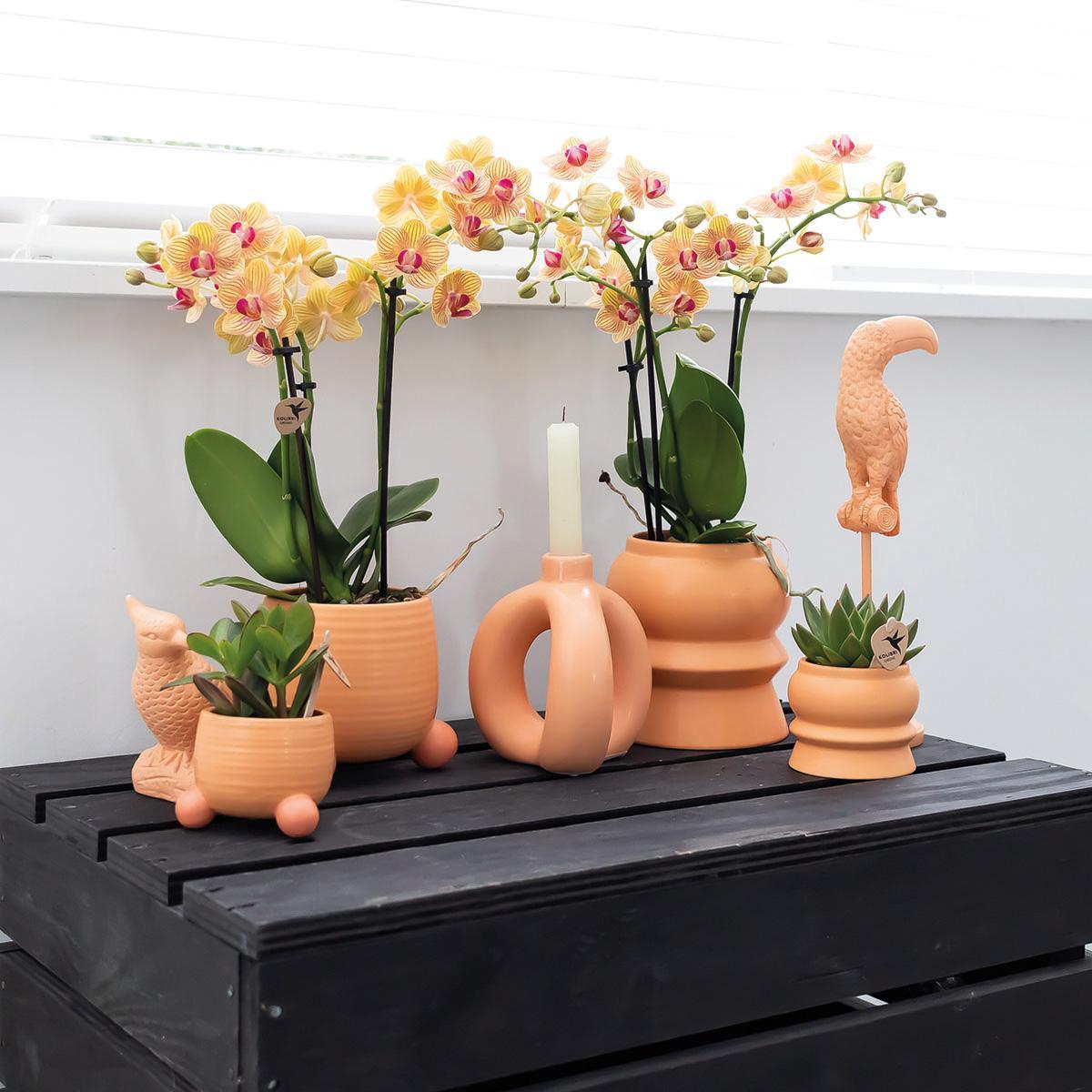 Hummingbird Home | Tower peach flower pot - peach colored ceramic decorative pot Ø6cm