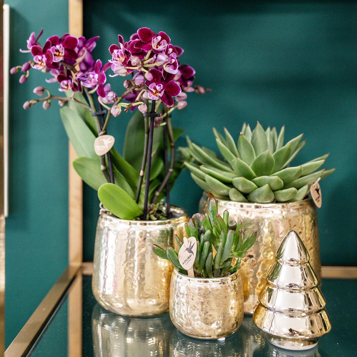 Kolibri Home | Luxury bloempot - Gouden keramieken sierpot - potmaat Ø9cm