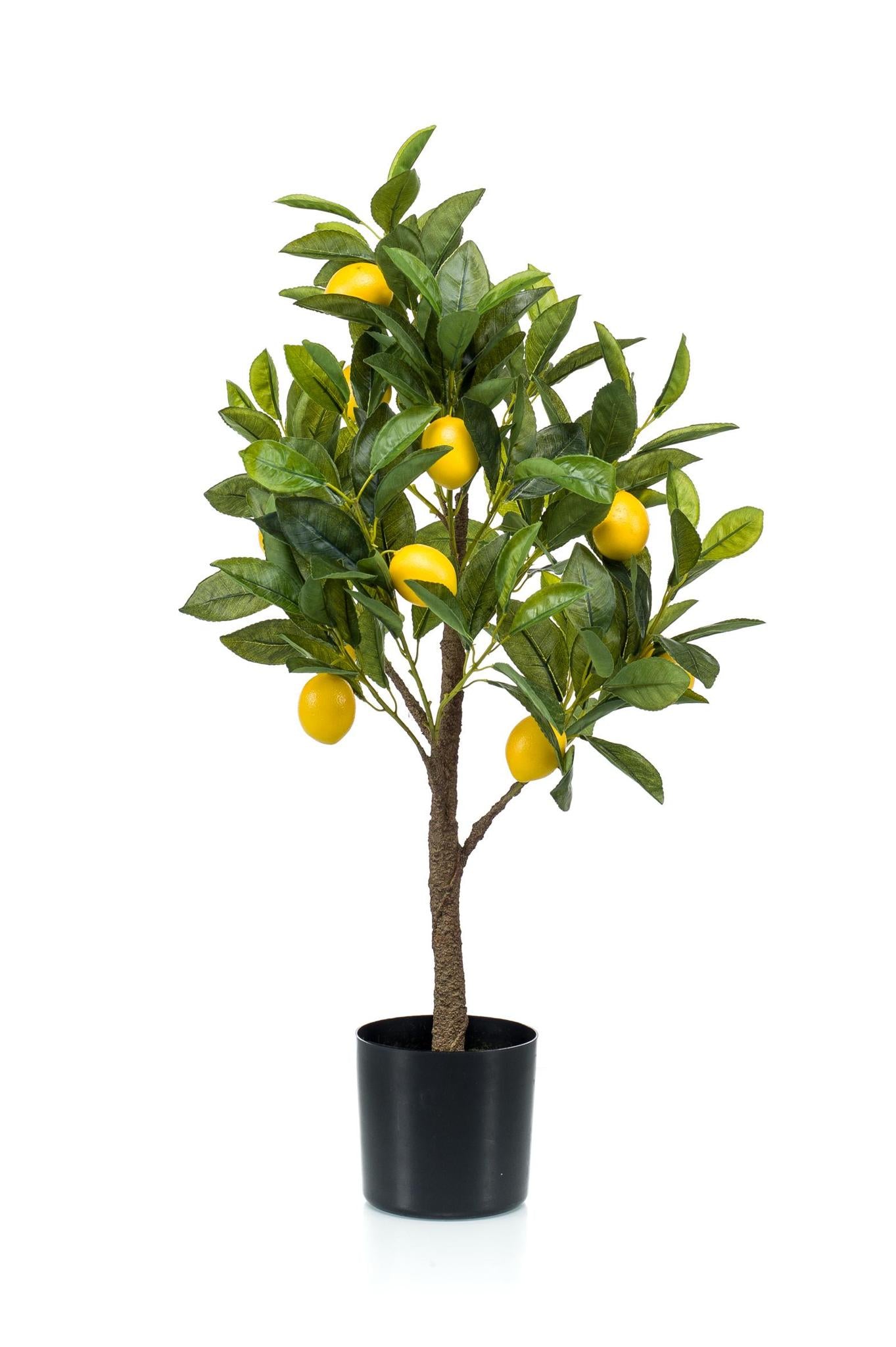 Kunstplant - Citrus Limonia - Citroenboom - 75 cm Kunstplant - Citrus Limonia - Citroenboom - 75 cm