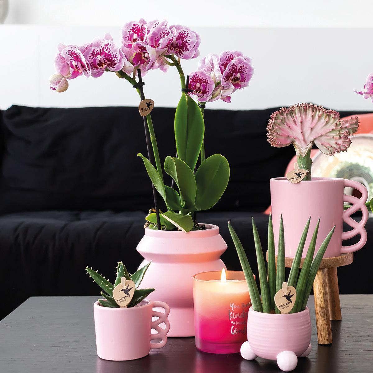 Kolibri Home | Happy Mug bloempot - roze keramieken sierpot Ø9cm