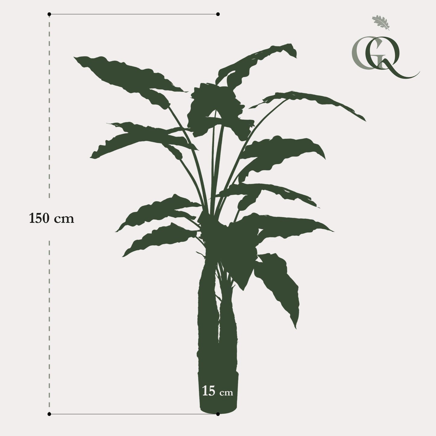 Kunstplant - Alocasia - Olifantsoor Kunstplant - Alocasia - Olifantsoor - 150 cm