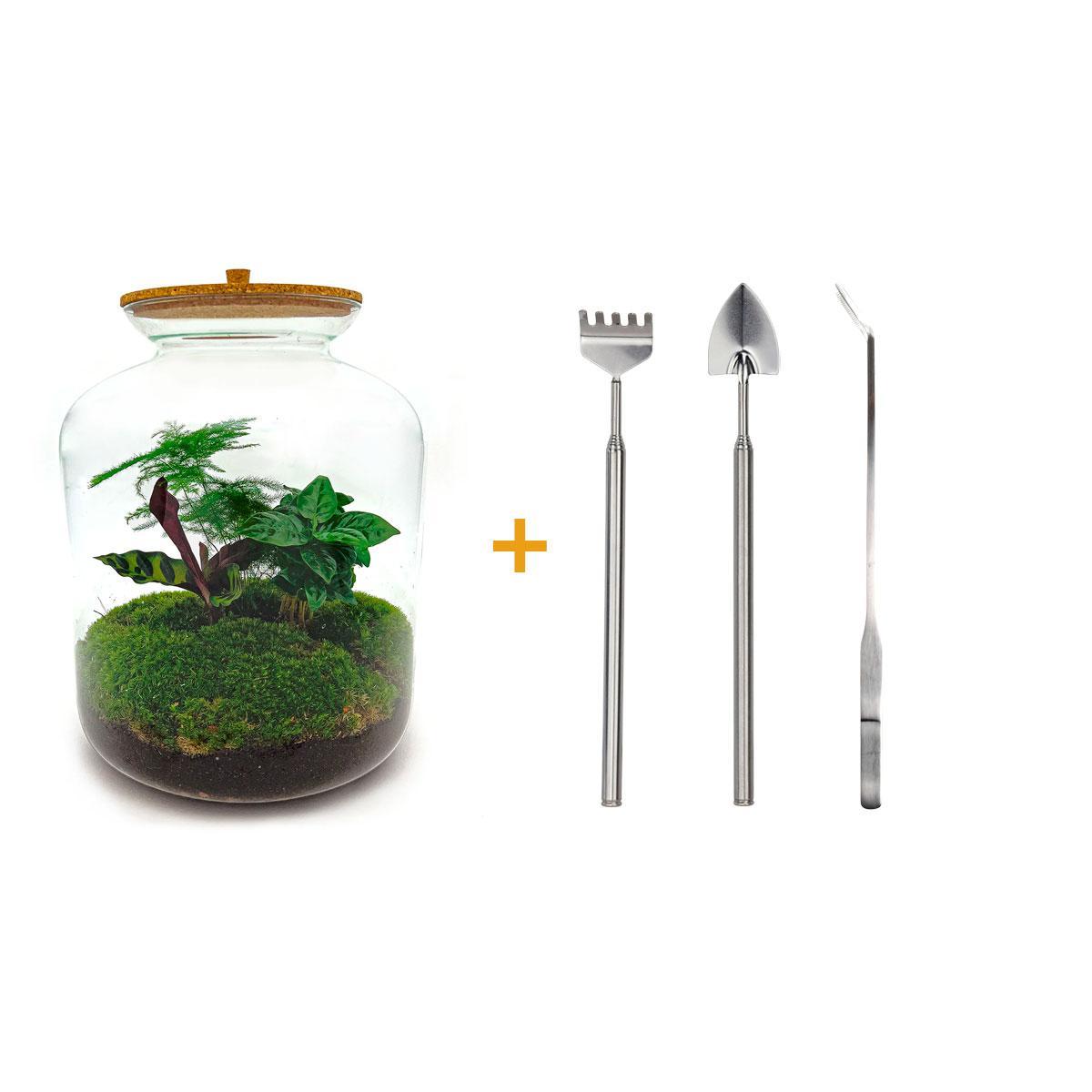 DIY terrarium - Lukas - ↕ 33 cm DIY terrarium - Lukas - ↕ 33 cm - Rake + Shovel + Tweezer