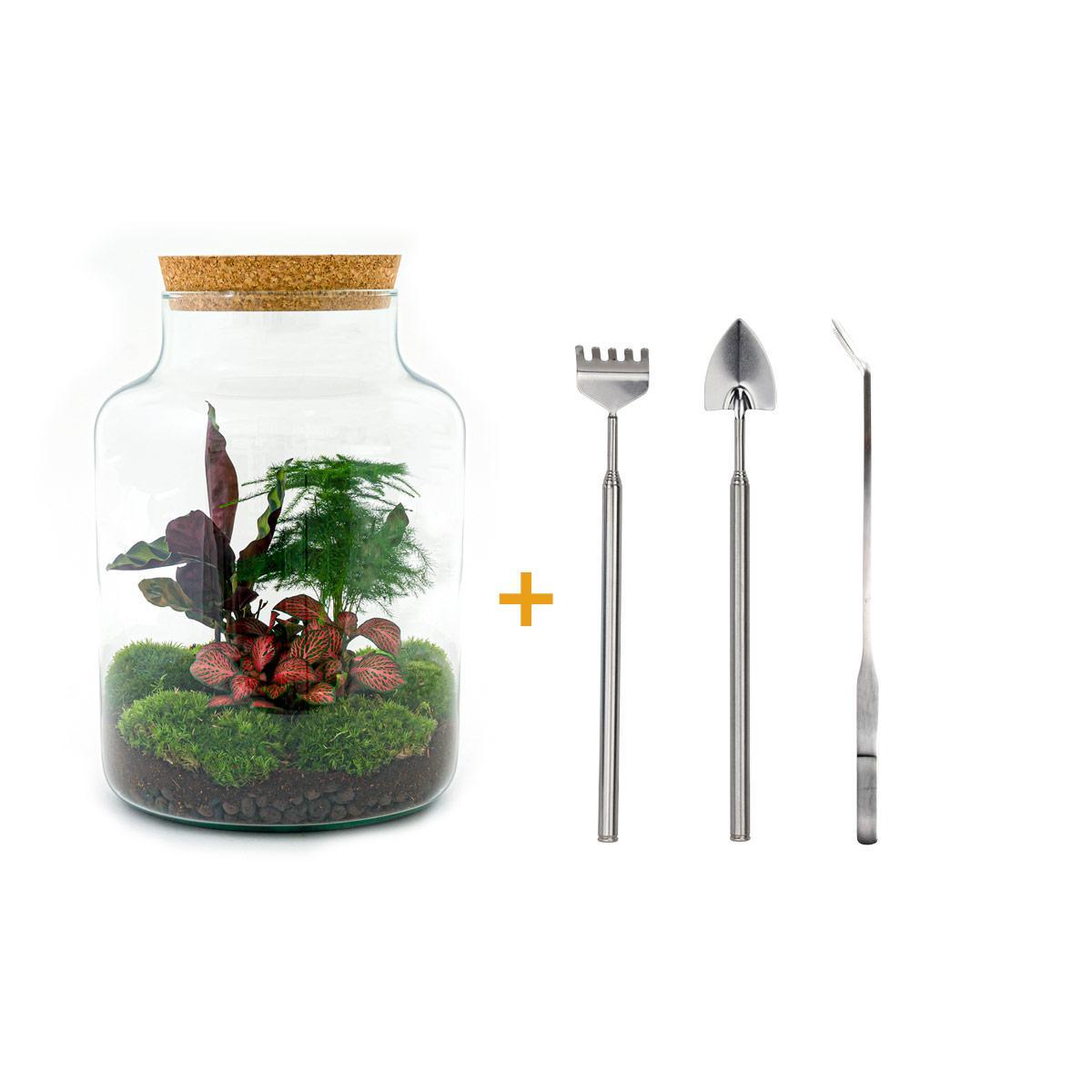 DIY terrarium - Milky - ↕ 30 cm DIY terrarium - Milky - ↕ 30 cm - Rake + Shovel + Tweezer