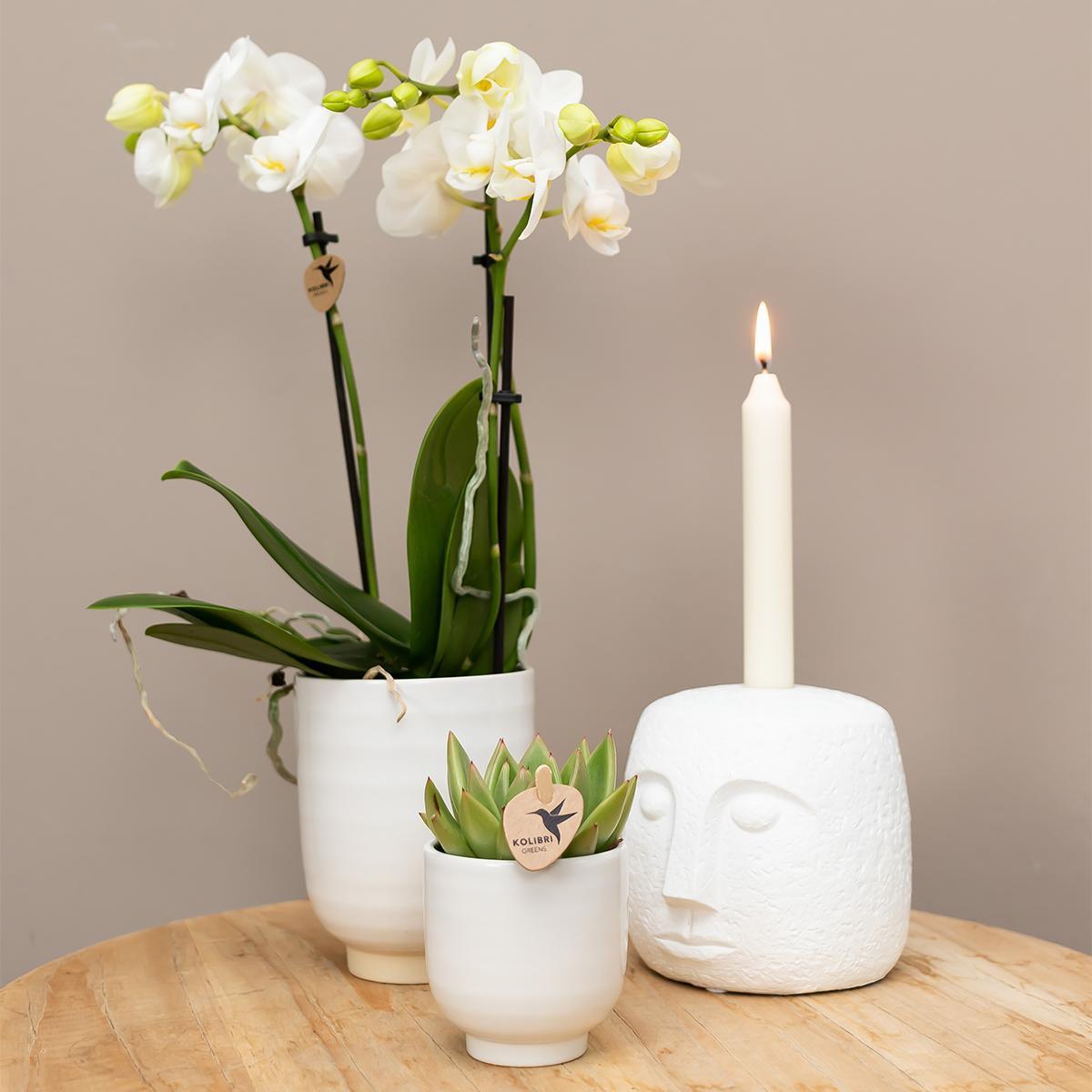 Kolibri Home | Glazed bloempot - Witte keramieken sierpot met glans - potmaat Ø6cm