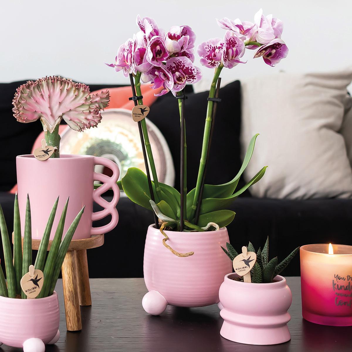 Kolibri Home | Rolling roze bloempot - roze keramieken sierpot Ø9cm