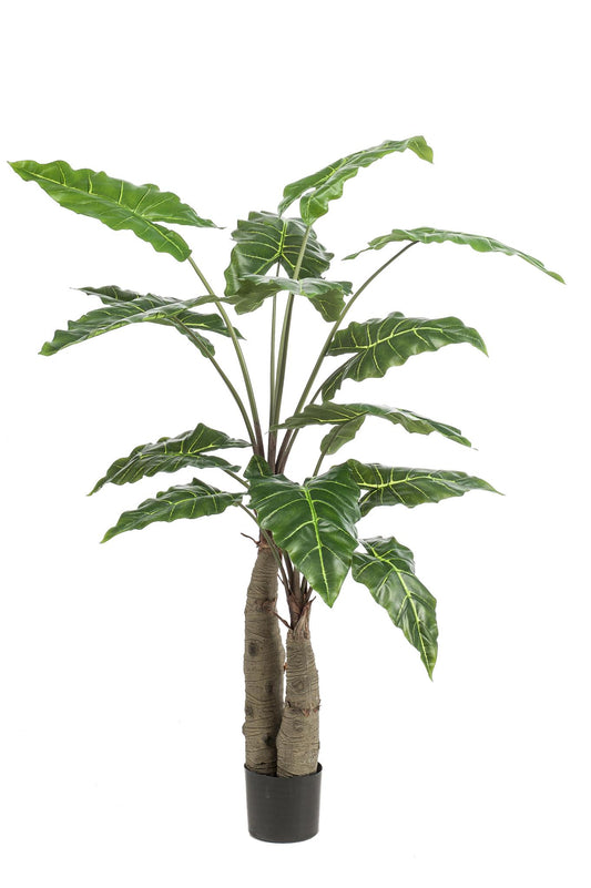 Kunstplant - Alocasia - Olifantsoor Kunstplant - Alocasia - Olifantsoor - 150 cm