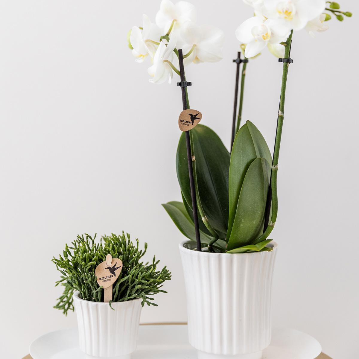 Kolibri Home | Rolling witte bloempot - witte keramieken sierpot Ø9cm