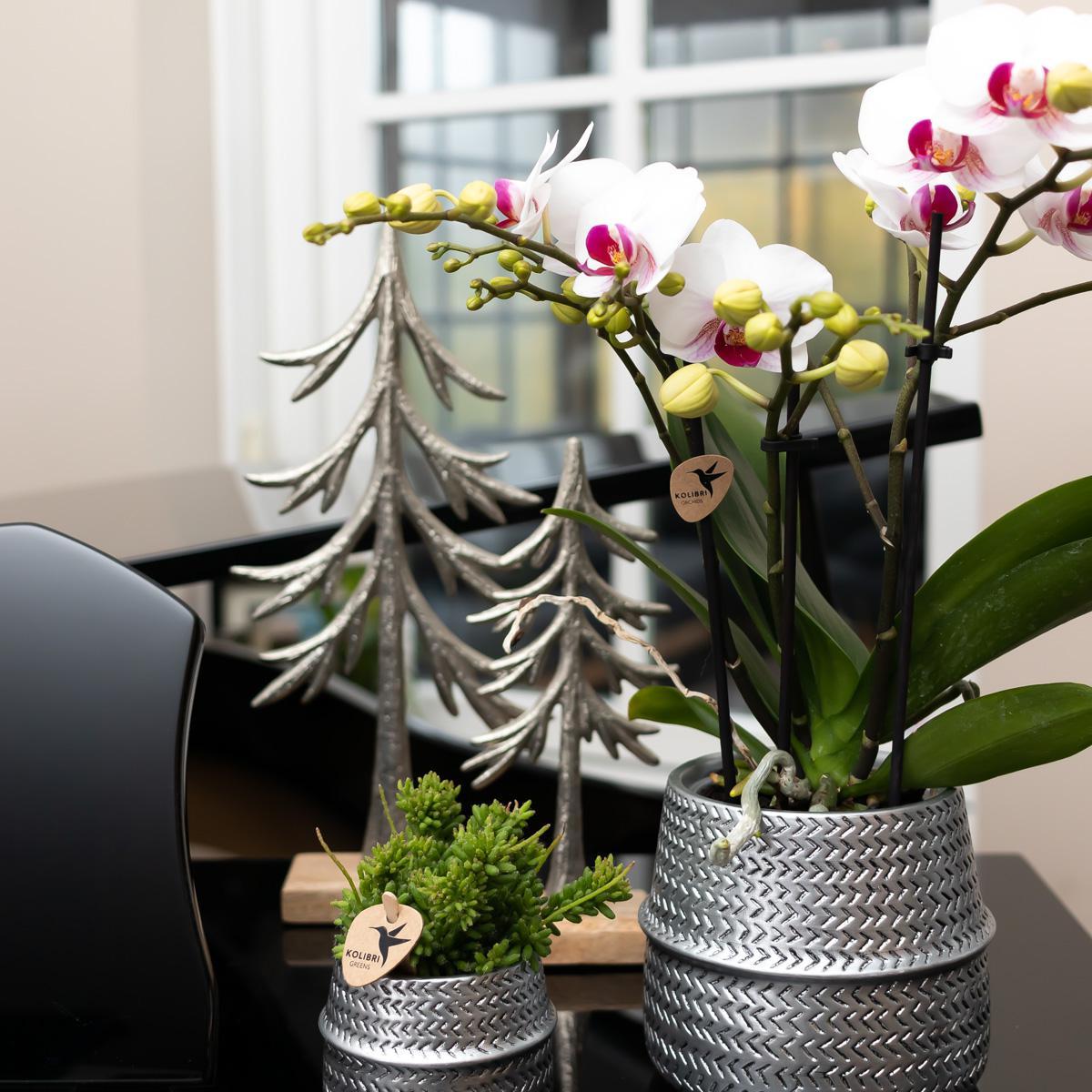 Hummingbird Home | Groove flowerpot - Silver ceramic decorative pot - pot size Ø6cm