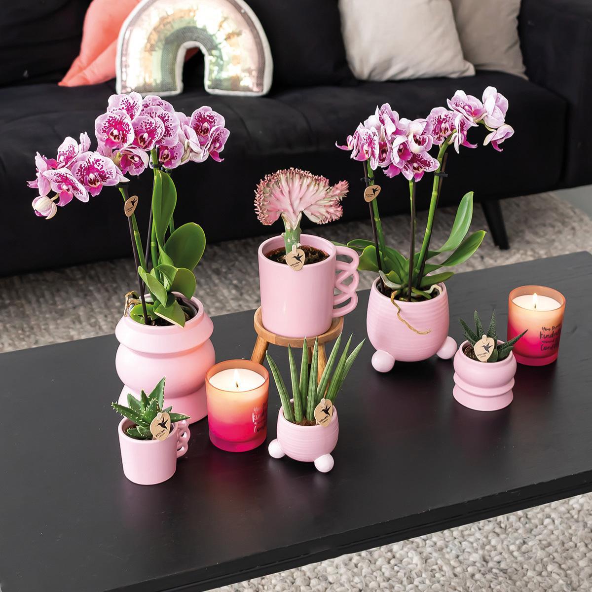 Kolibri Home | Rolling roze bloempot - roze keramieken sierpot Ø9cm